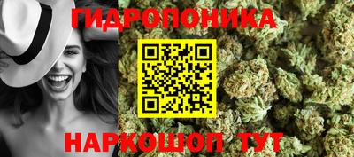 jwh Аргун