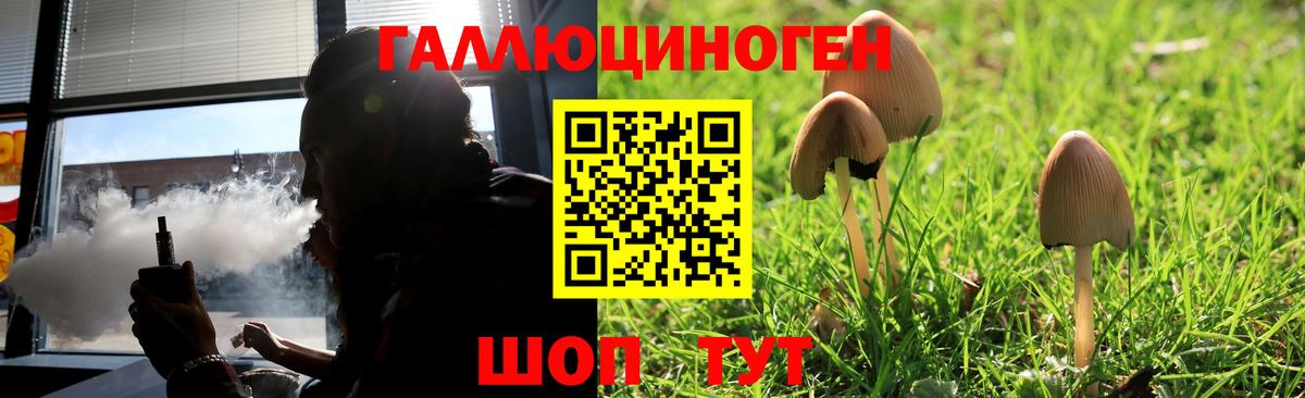 Воскресенск  Псилоцибиновые грибы Psilocybine cubensis  Вход с VPN 